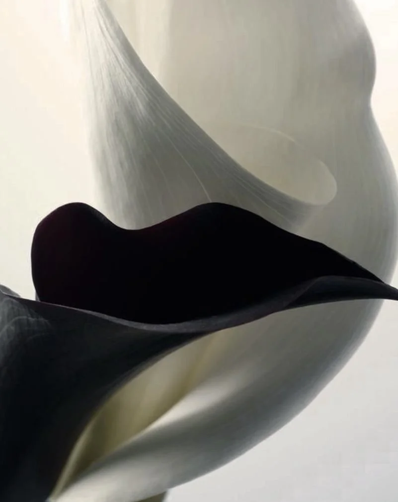 Close-up of a modern, abstract metallic sculpture with flowing, wave-like curves and a reflective surface.