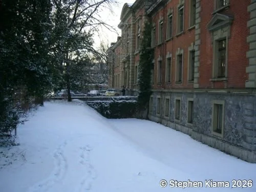 Switzerland-IMG_9237.jpeg