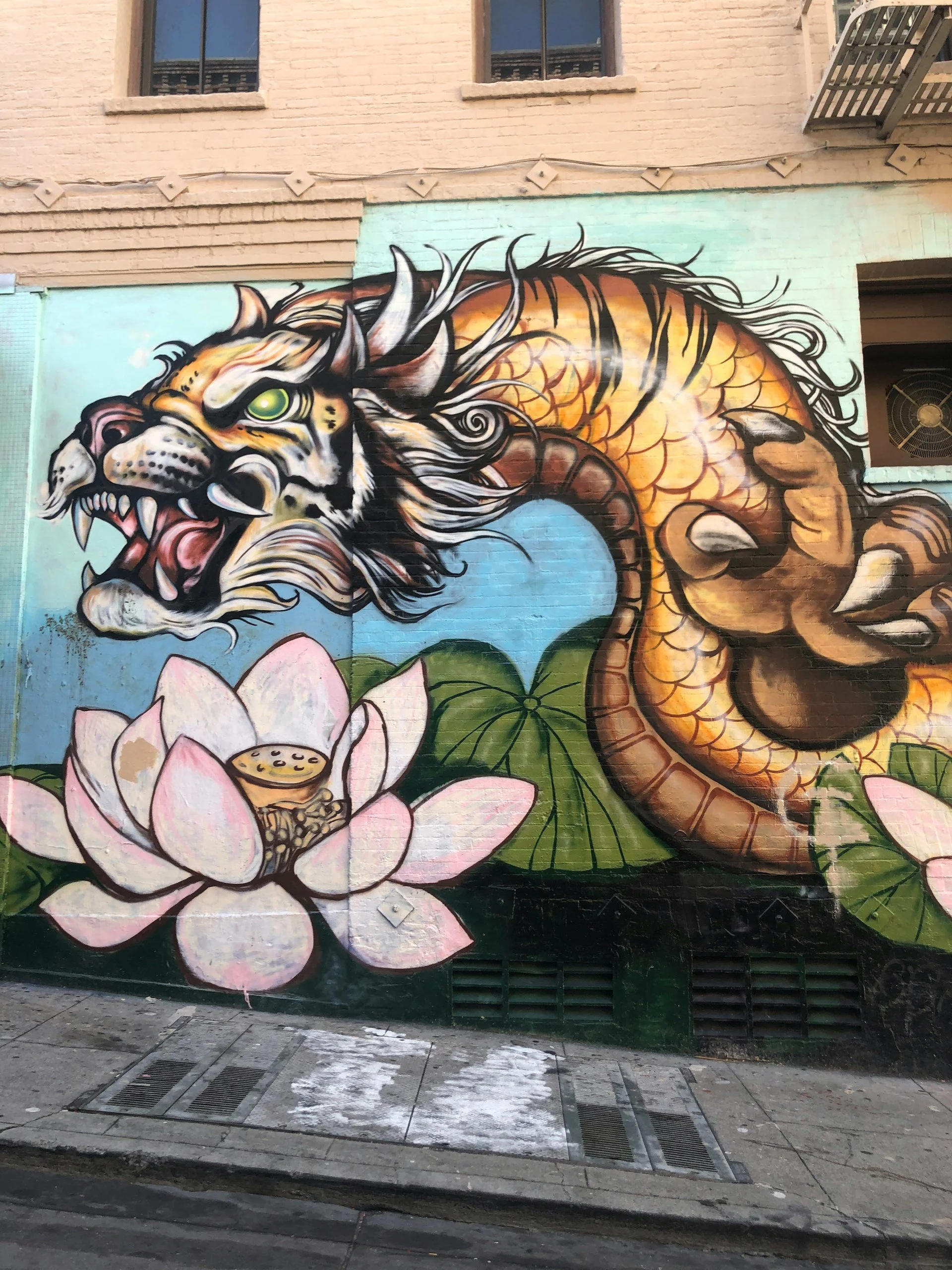 Multicolored dragon graffiti art on concrete wall. San Francisco, United States.
Photo by  Ben Lodge  on  Unsplash 
      