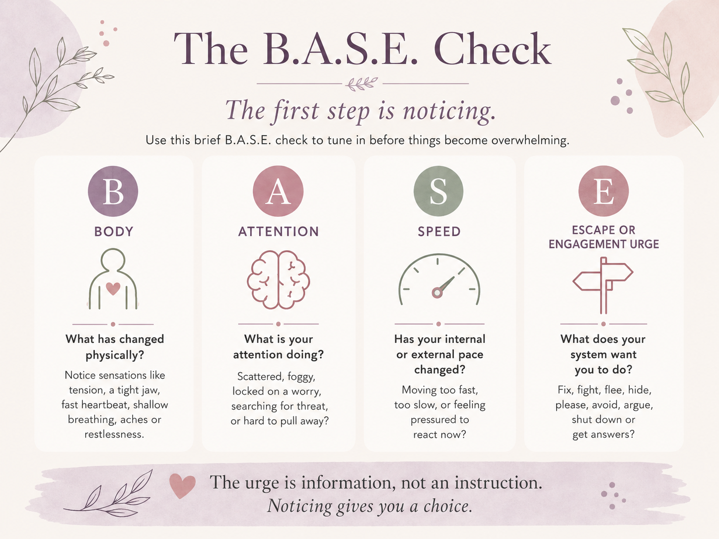 Visual of the BASE Model