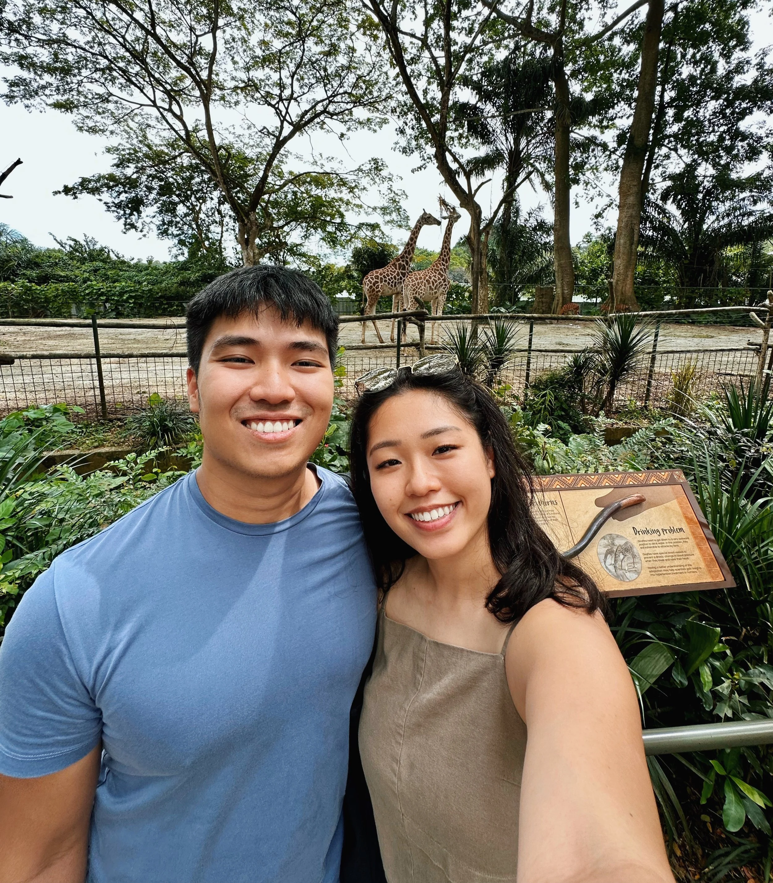 Zoo trips...🦒