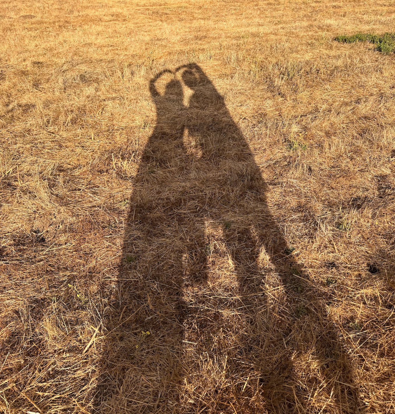 Shadow Heart. An image to remember to proposal. 