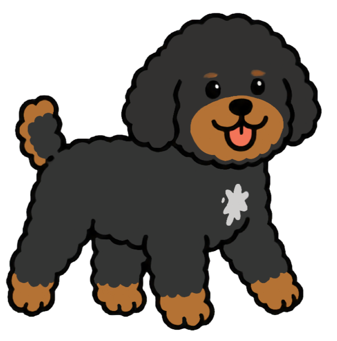 Cute cartoon black poodle with a fluffy coat, brown paws and face, and a small white paw print on its chest