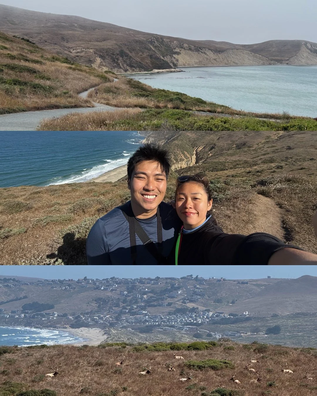 Whales, seals, elk, and jaw-dropping views along the way... nature was clearly putting in the effort. Daryl, however? Still waiting for an even better view, or so he says 🌝
