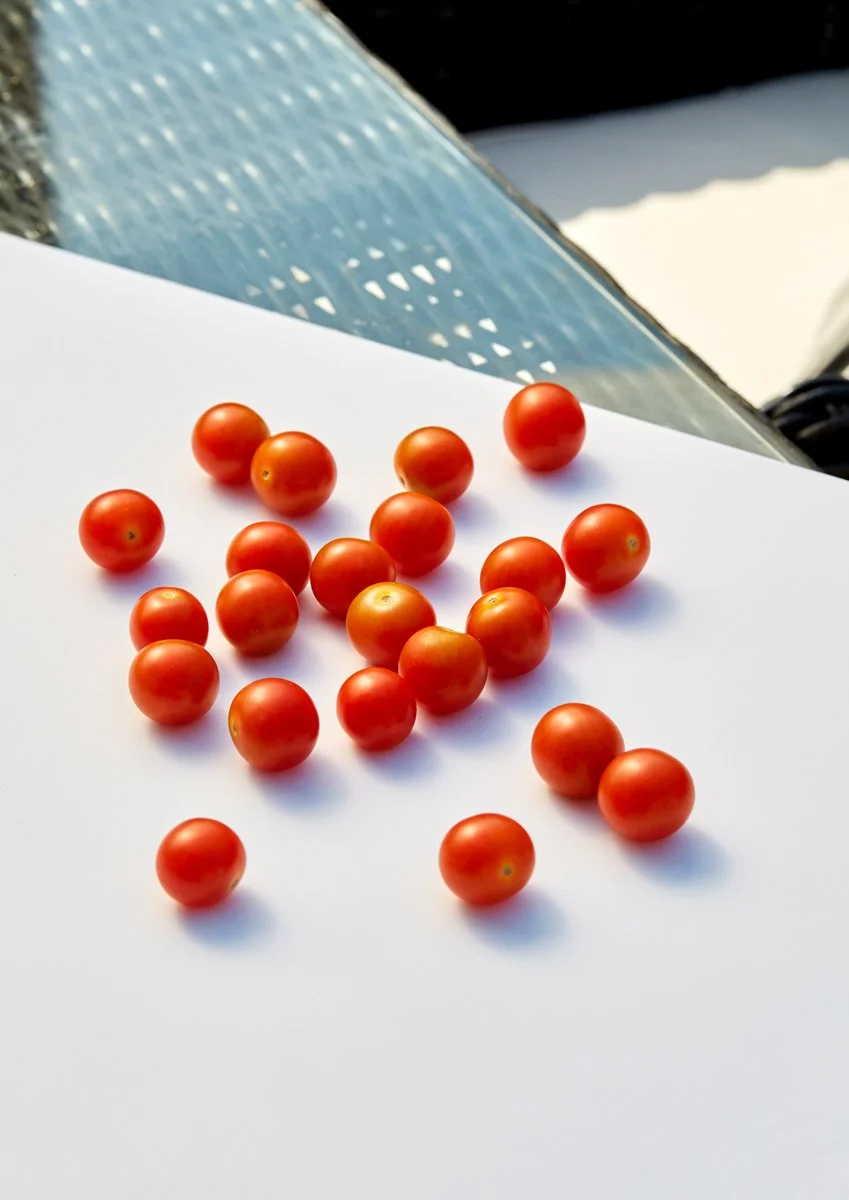 Tomato_Web.jpg