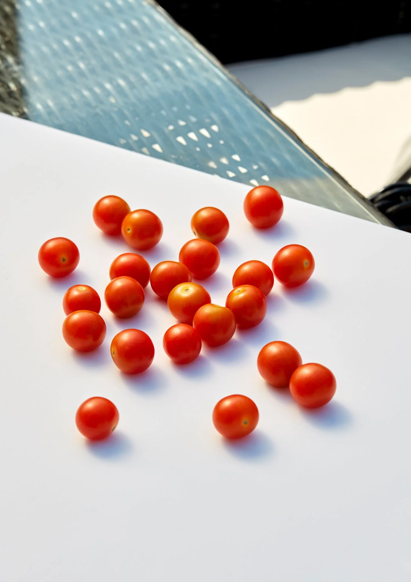 Tomato.jpg