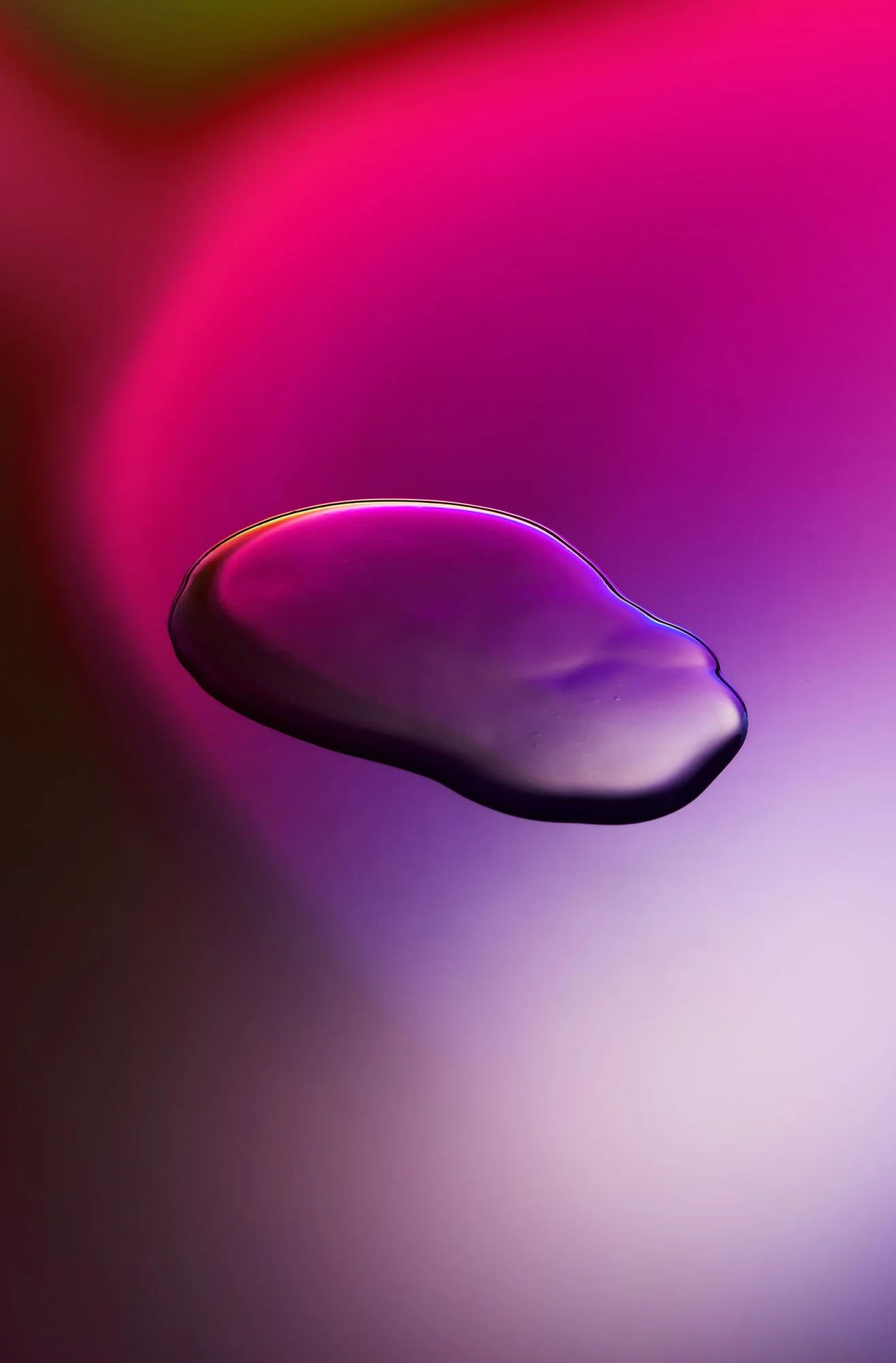 EL_CROP_Projections_S5_v2.jpg
