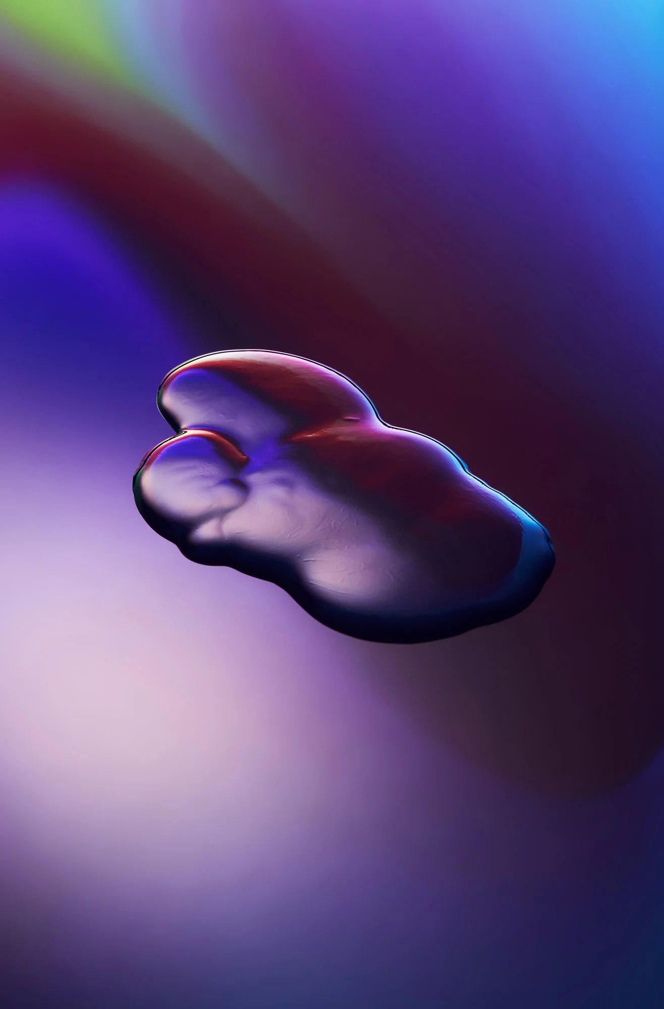 EL_CROP_Projections_S1.jpg