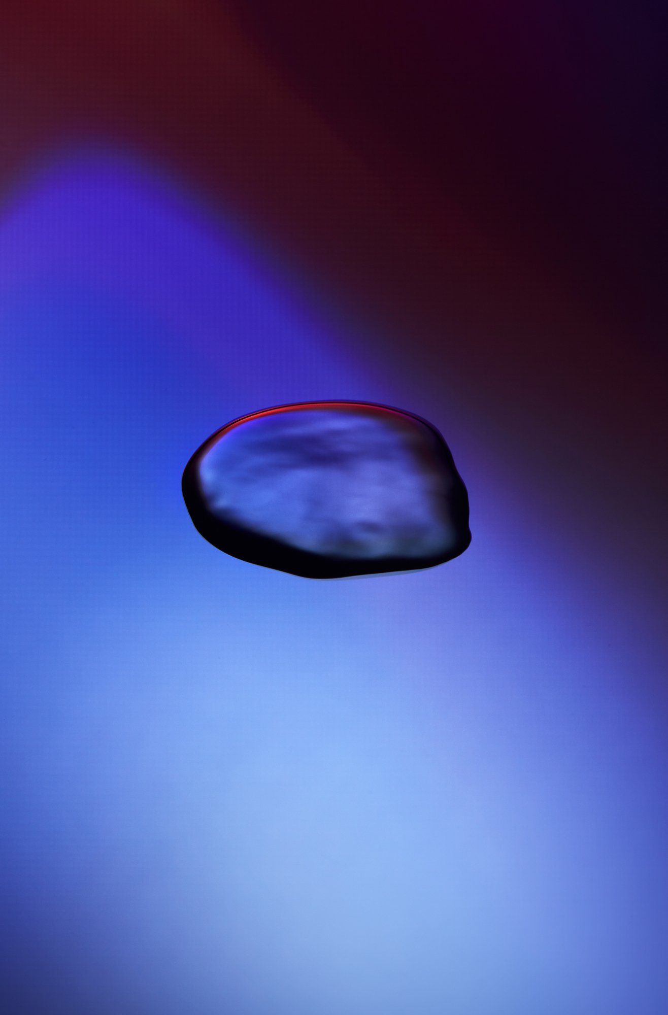 EL_CROP_Projections_S6.jpg