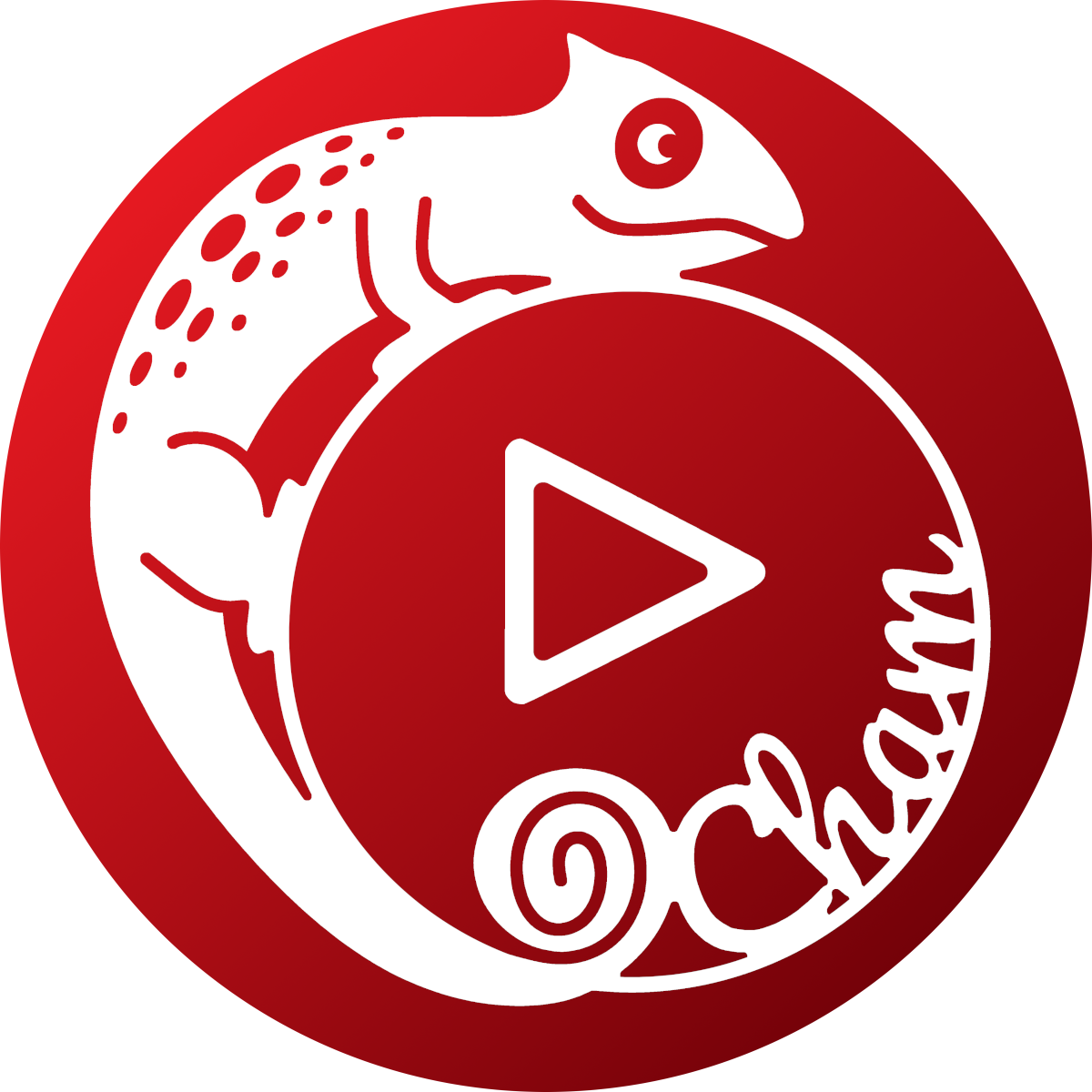                                       ocham.org