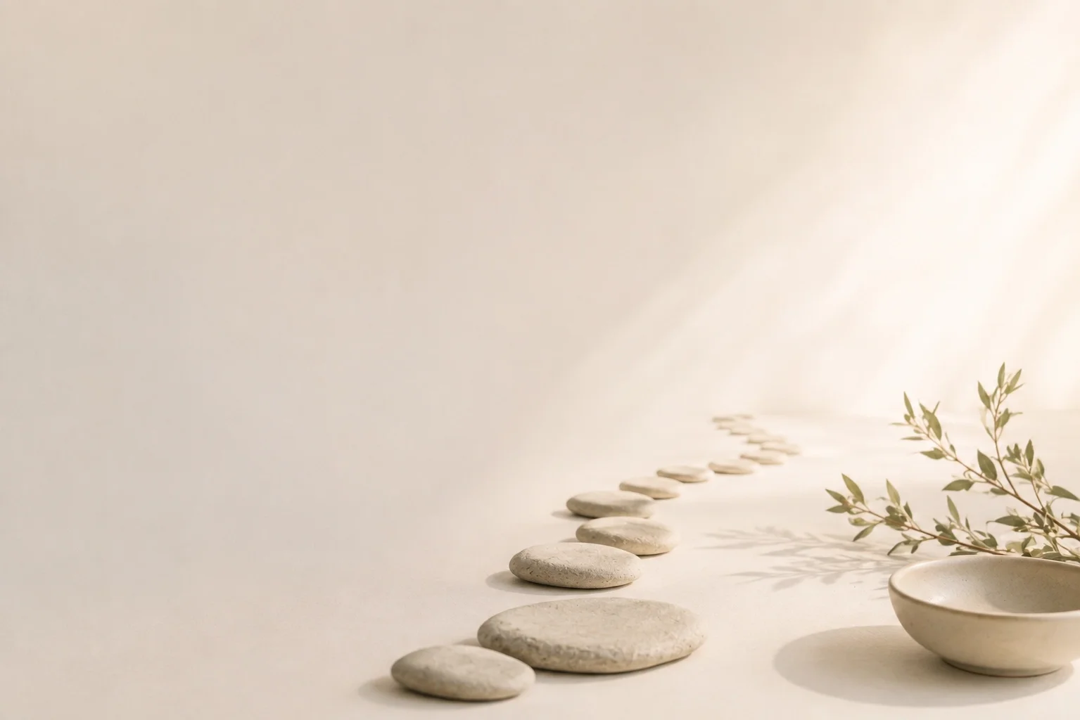 A minimalist scene with a row of white stones leading to a white bowl and a sprig of greenery against a neutral background.