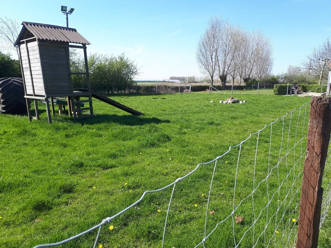geitjesweide.jpg