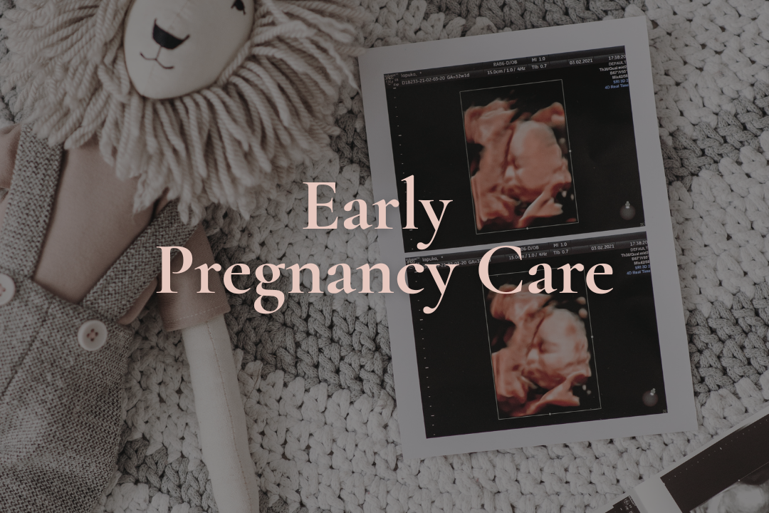 A super cute stuffed animal with a smiling face, dressed in a beige cardigan and grey checkered pants, lying next to a printed image of an ultrasound of a fetus, all on a chunky knitted grey blanket, with the words 'Early Pregnancy Care' overlaid.