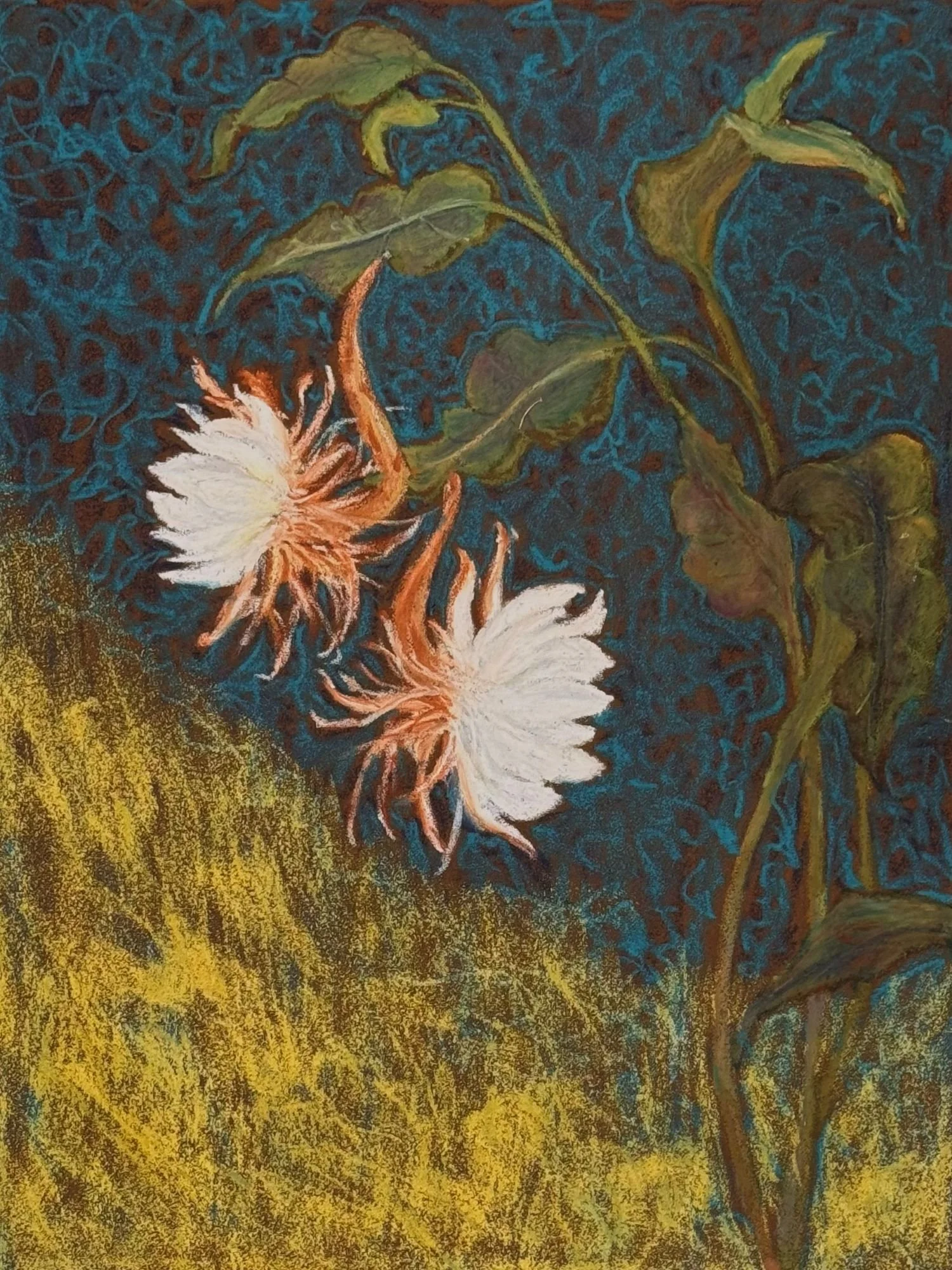 金墨幽藍映素華 Pure Cereus.jpg
