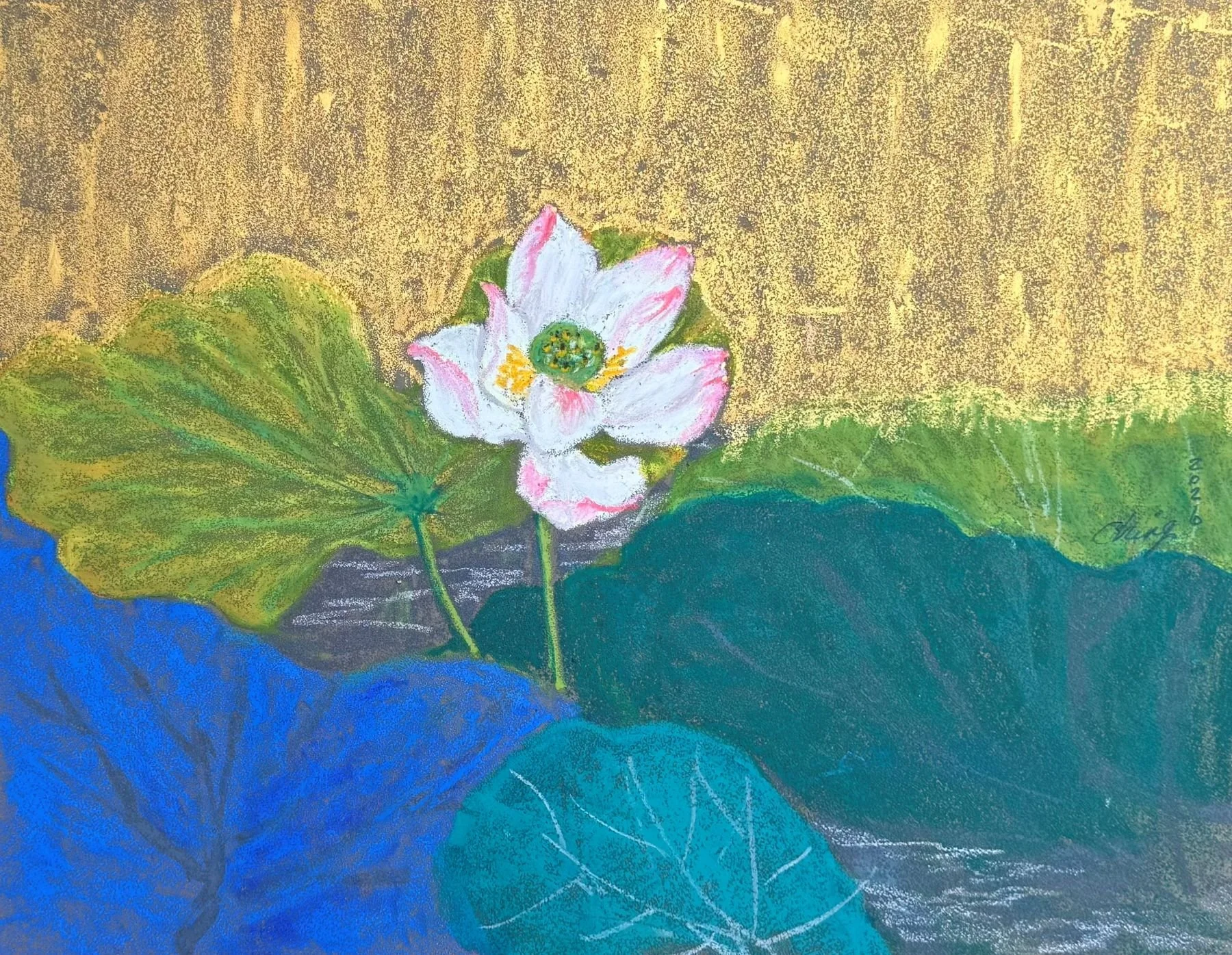 金池一朵白 Golden Pond.jpg