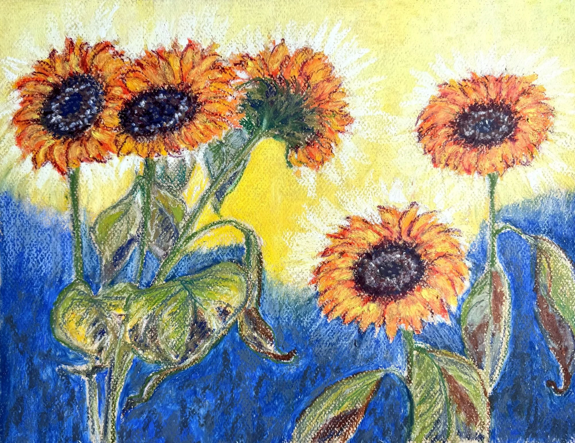 我叫太陽花 My Name is Sunflower.jpg