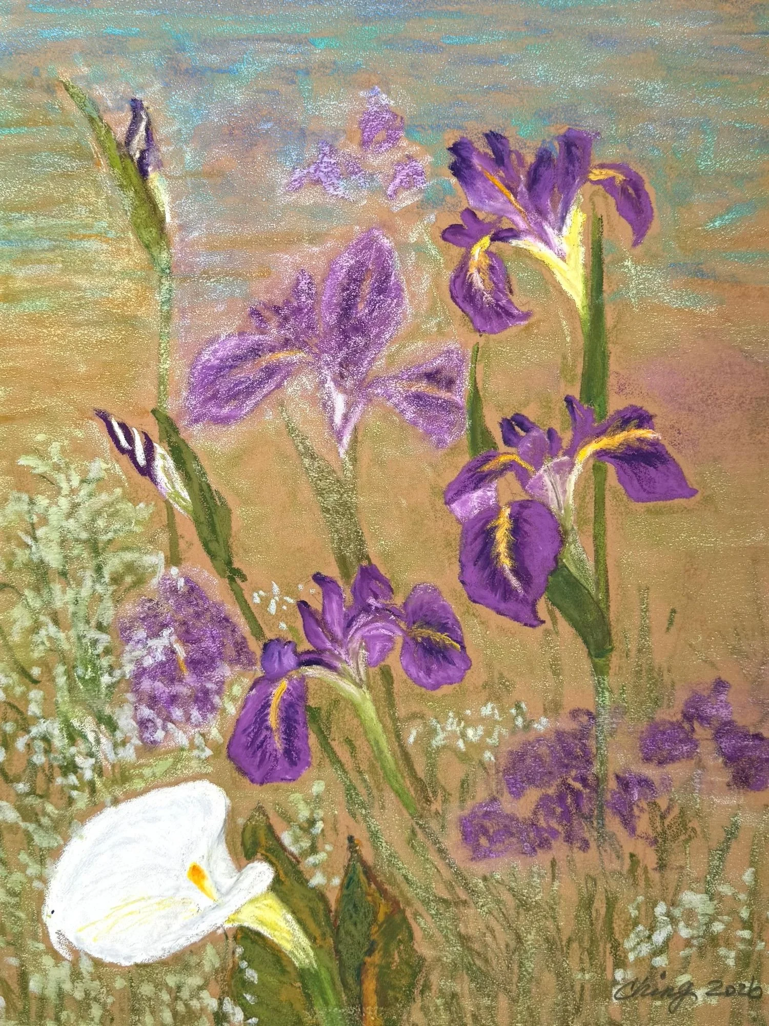 初夏紫鳶展風華 The Splendor of Early Summer Irises.jpg
