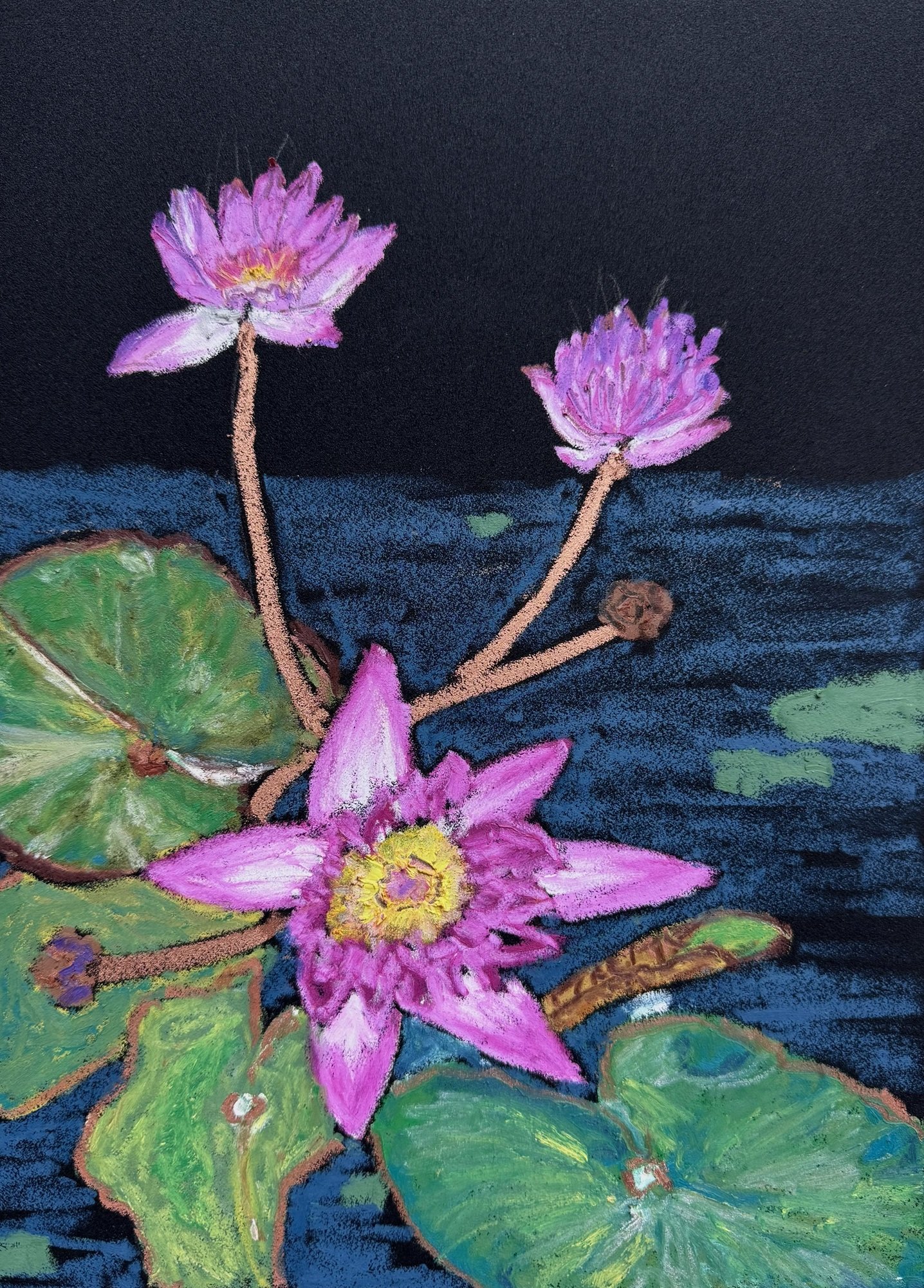 蓮花夜色 Lotus Pond at Night.jpg