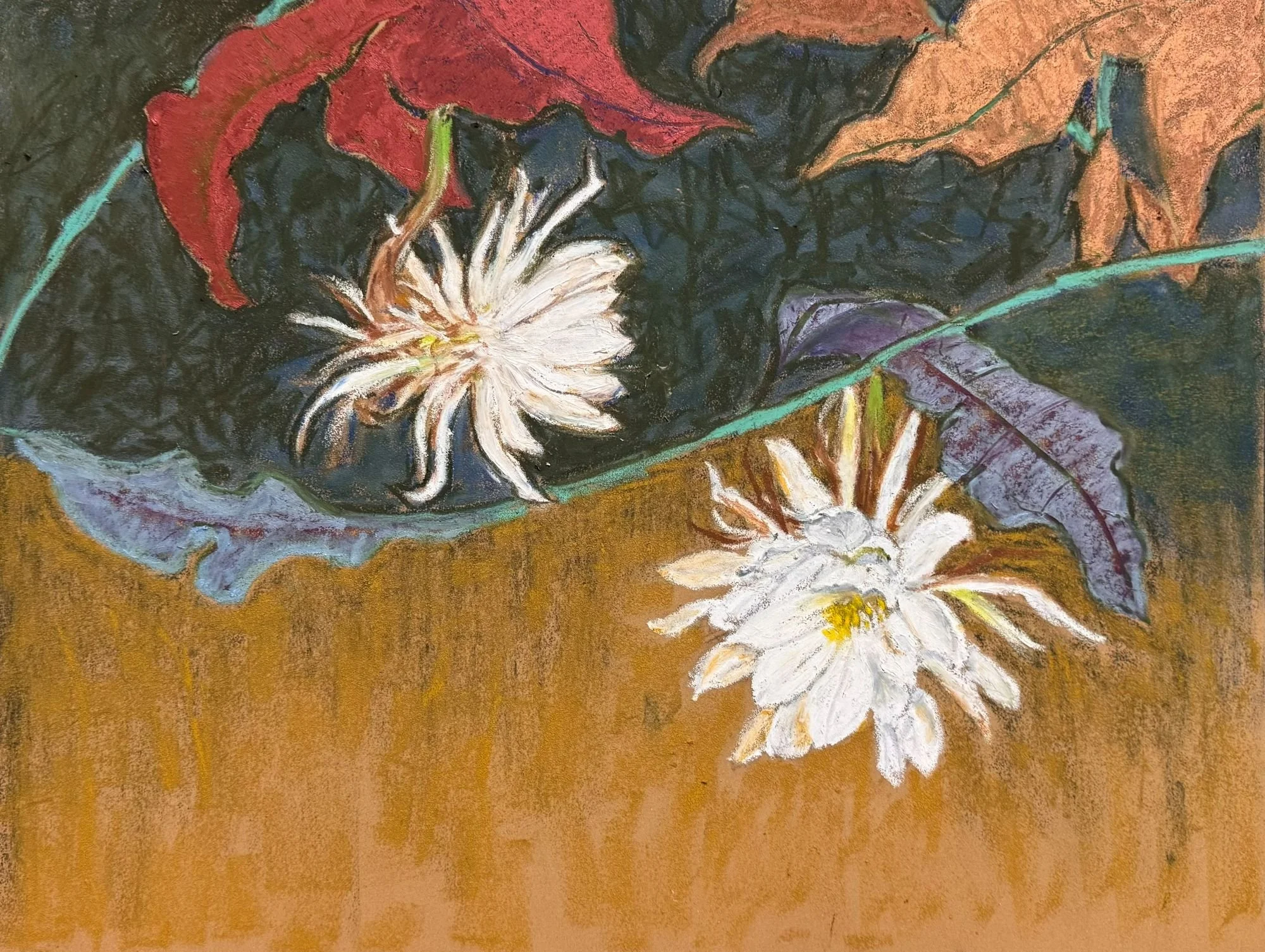 曇華 Flourishing.jpg