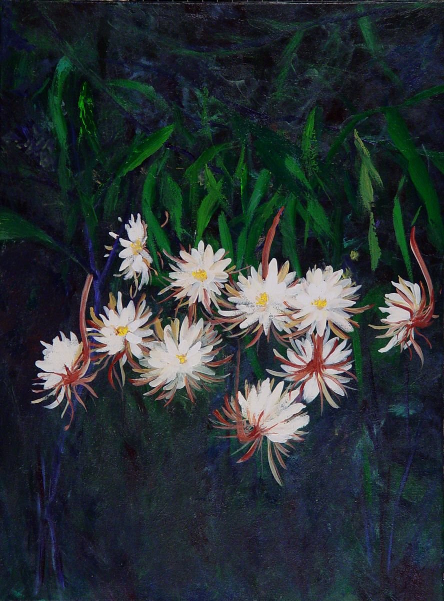 曇花頌
亞克力/畫布， 76x100 公分

Night Queen
acrylic, 30x40 inch

#2009