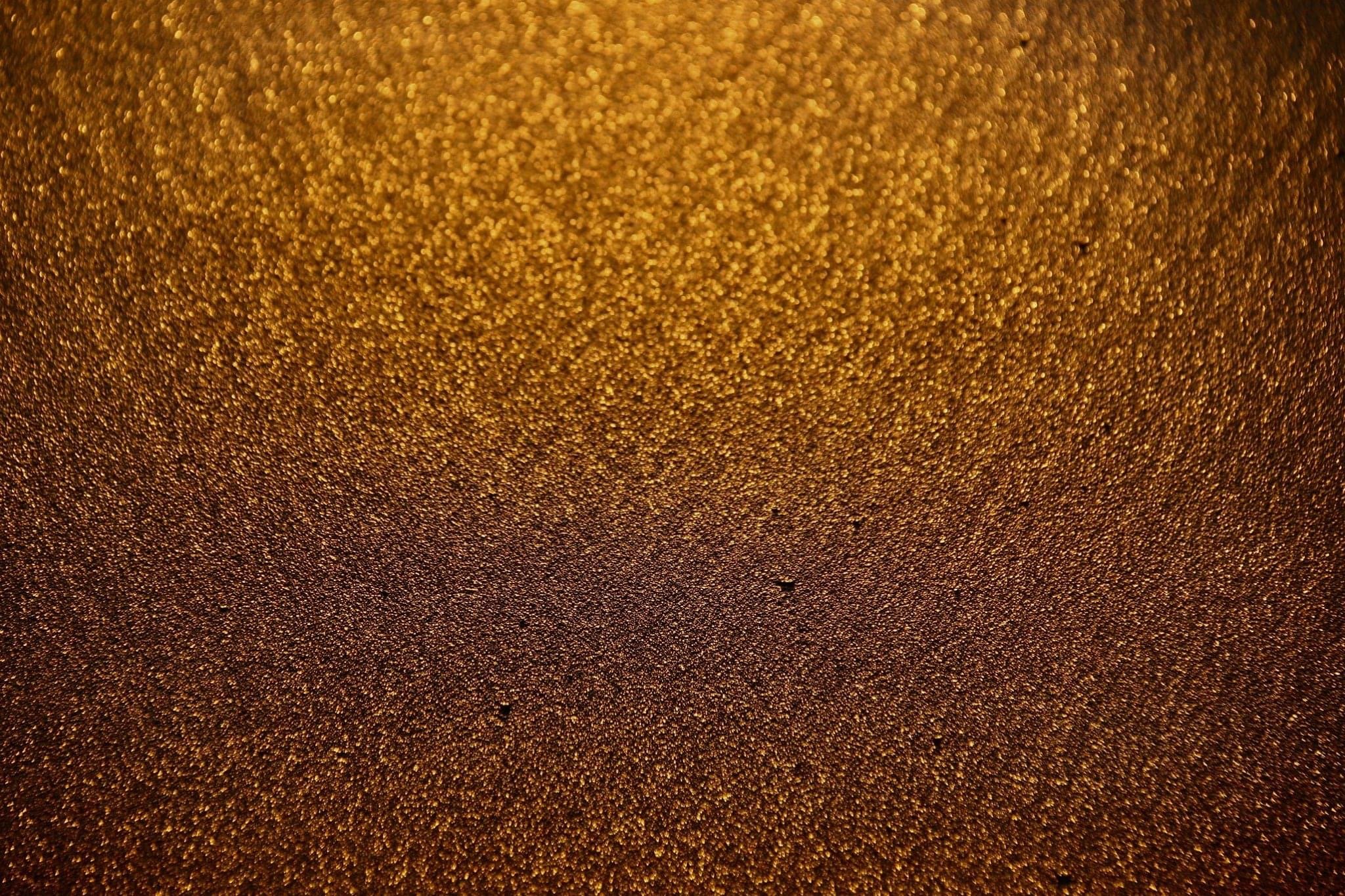 8835.JPG