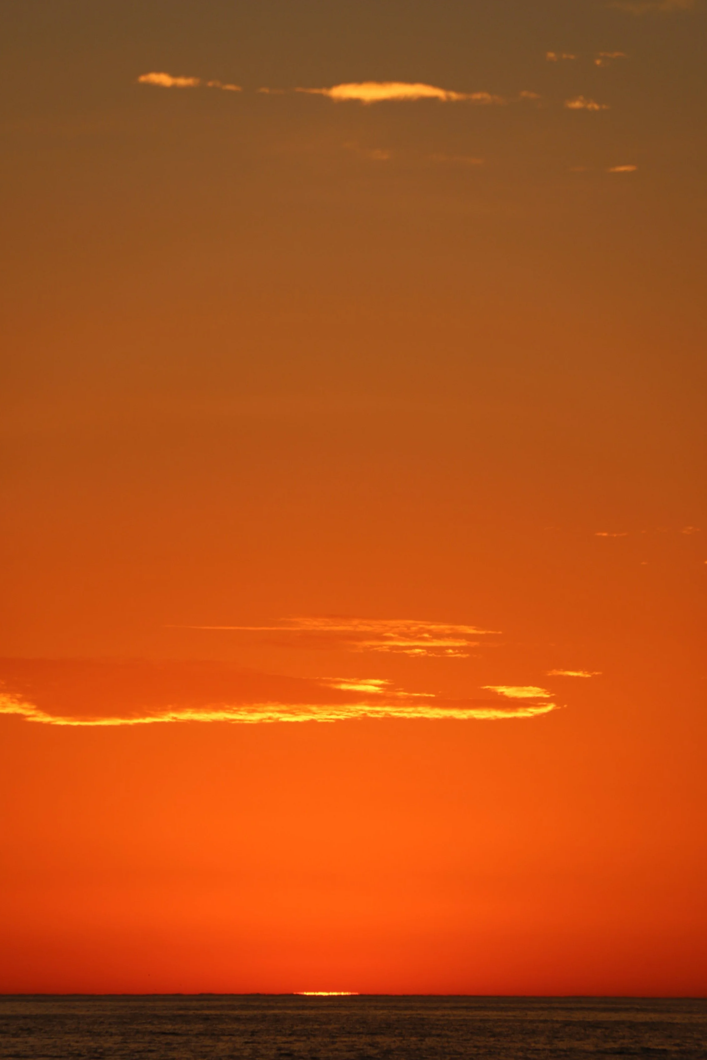 IMG_0773.png