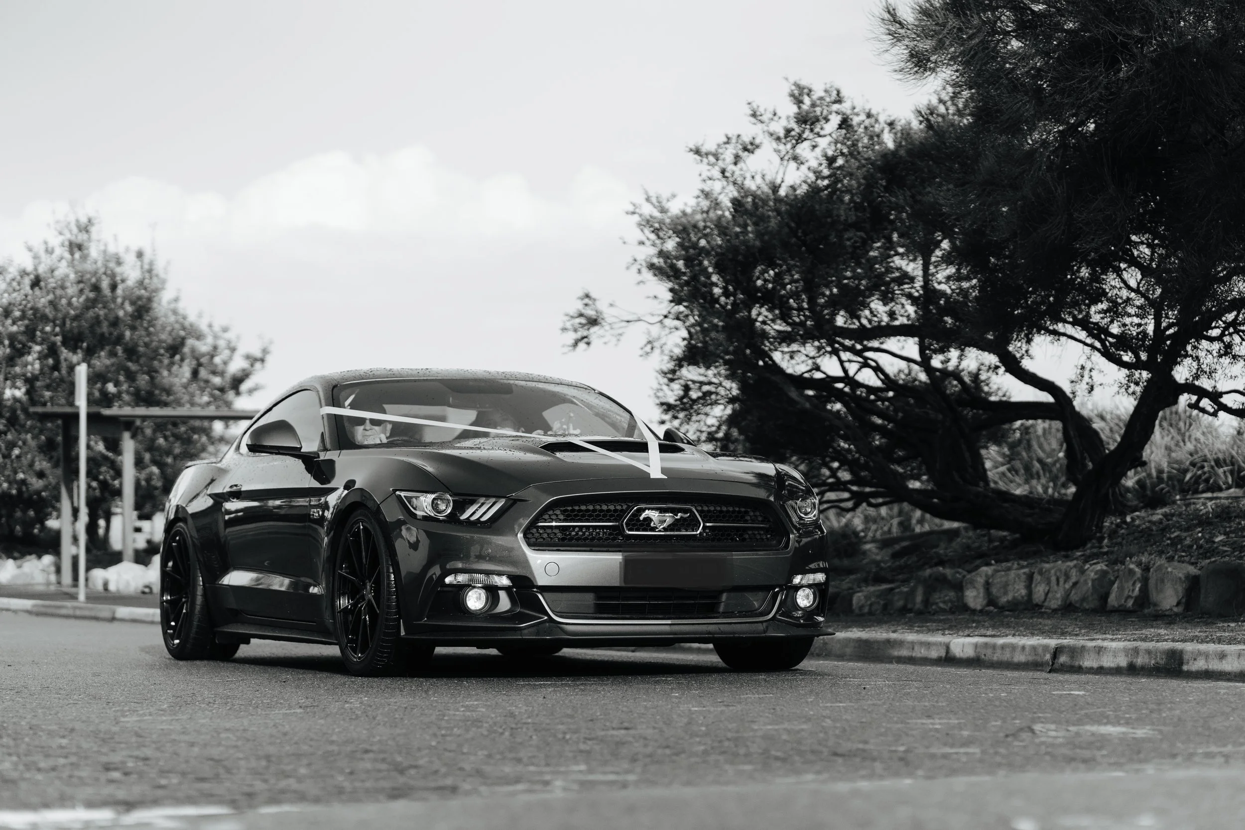Wedding car.jpg