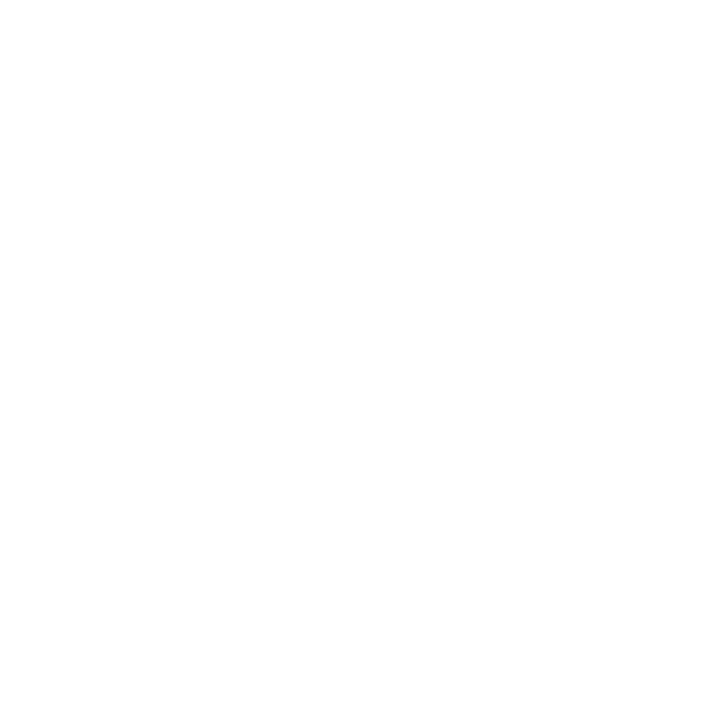 Check mark icon