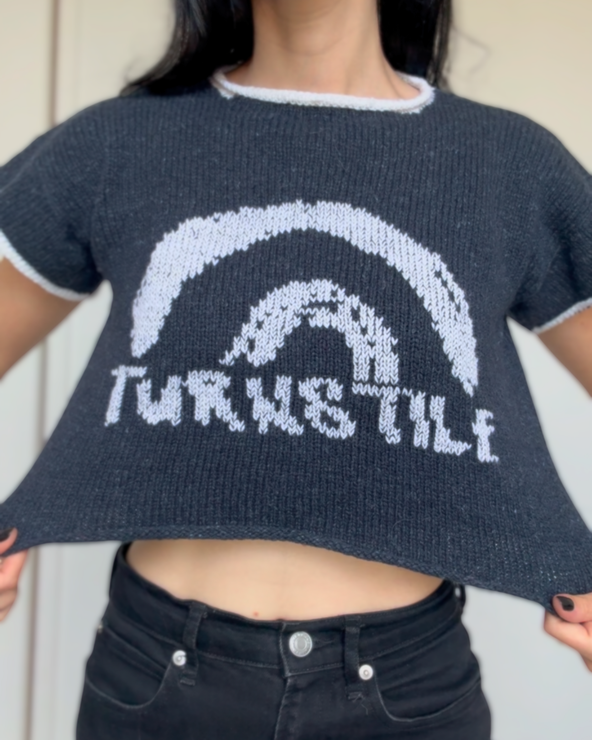 Turnstile 4.png