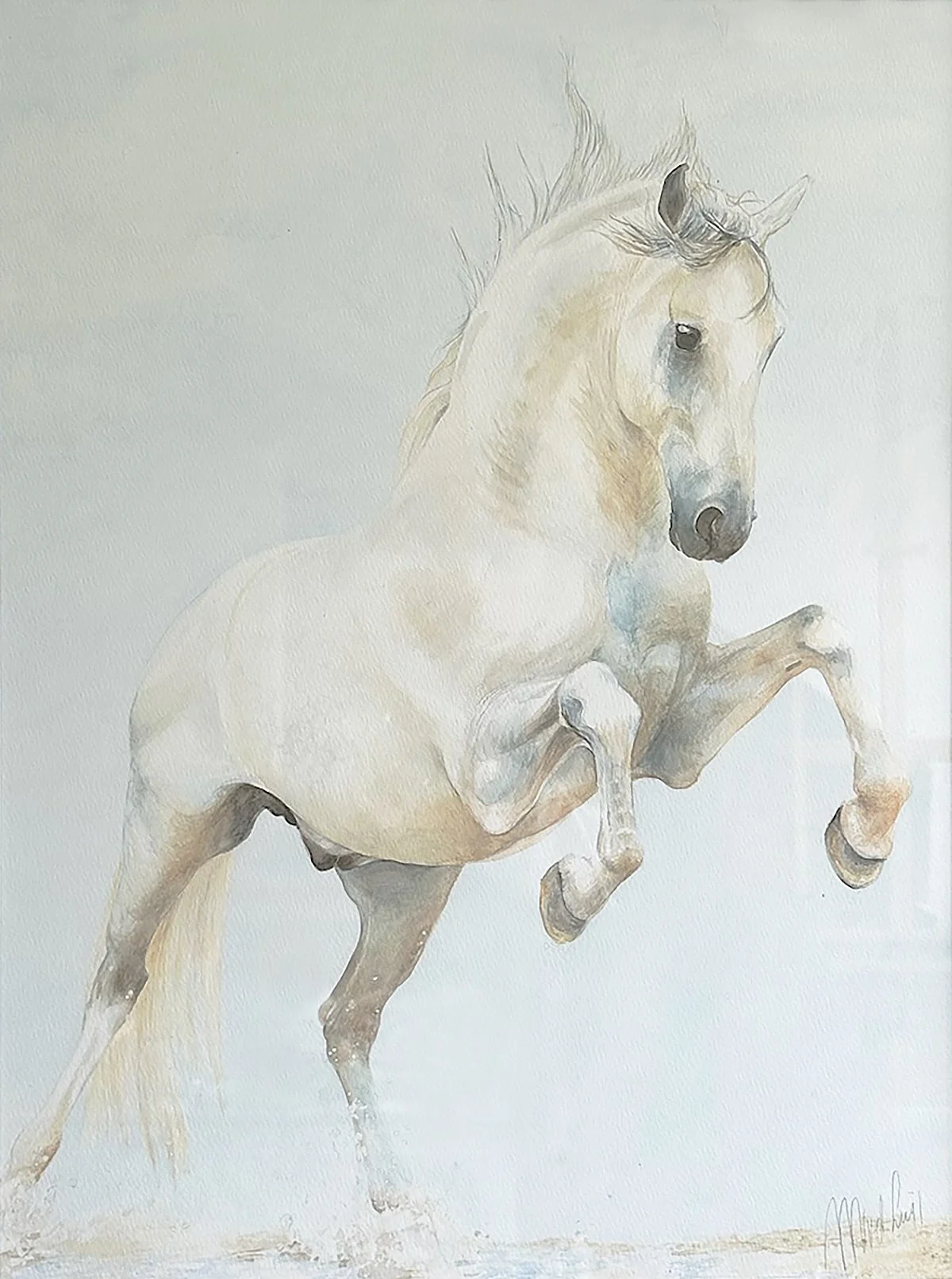 Paard steigerend Monique Aarnink paardenkunstenares.jpg