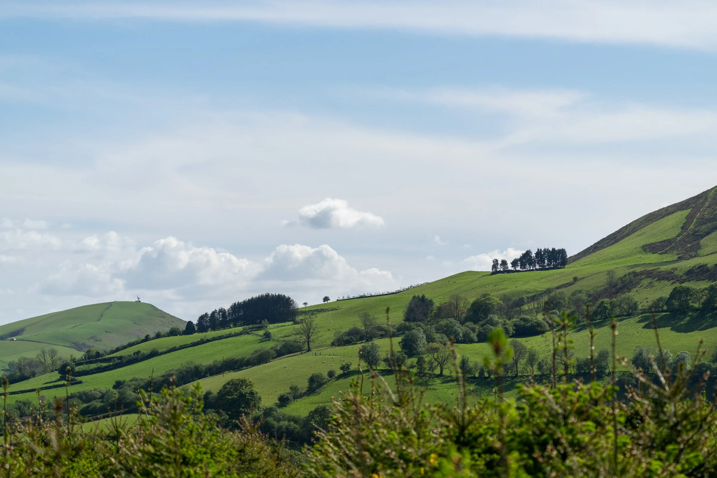 220519-lofftwen-309.jpg