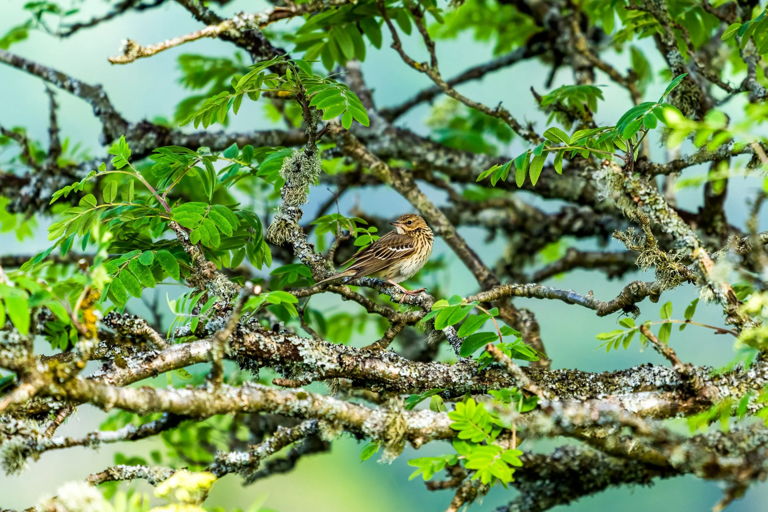 220519-lofftwen-734-Edit.jpg