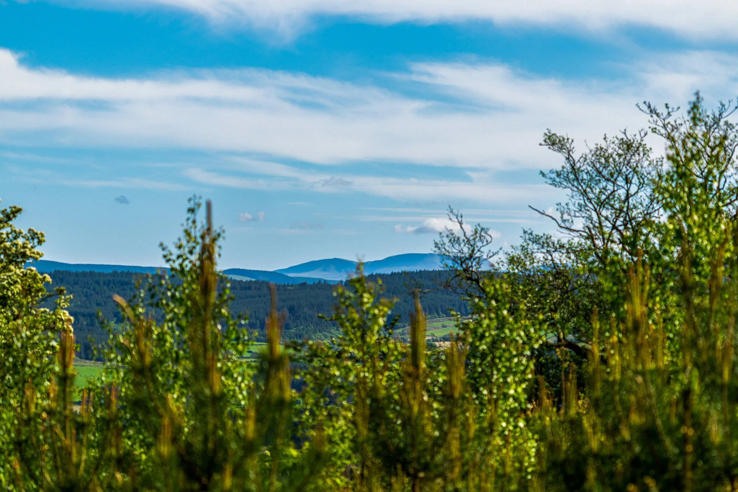 220519-lofftwen-308.jpg