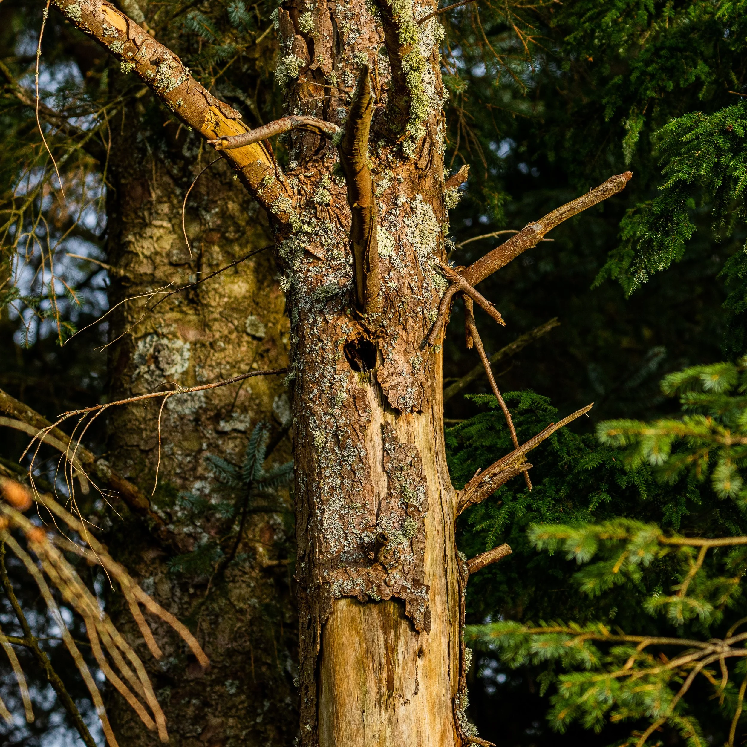 211125-untitled-066.jpg