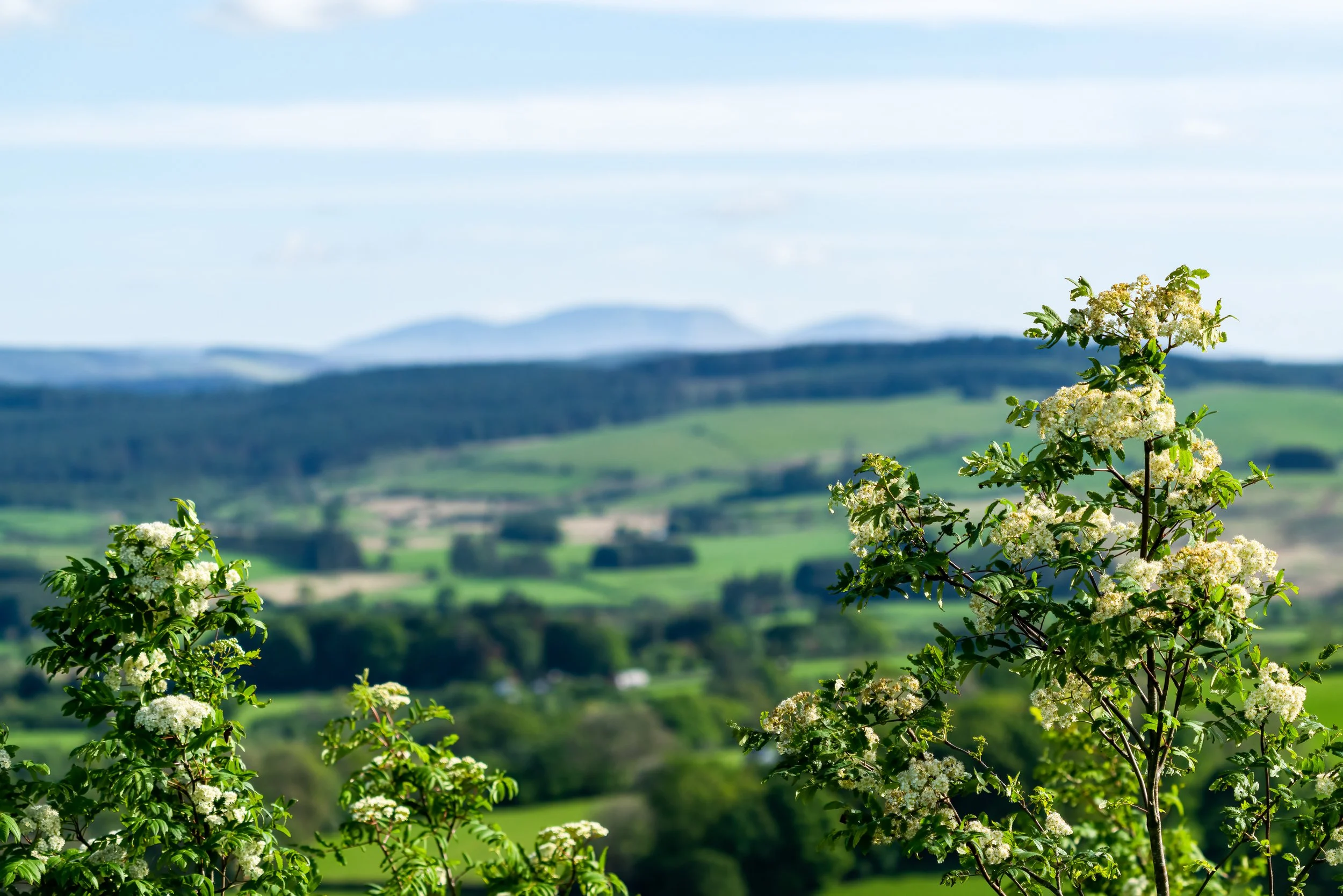 220519-lofftwen-499-Edit.jpg