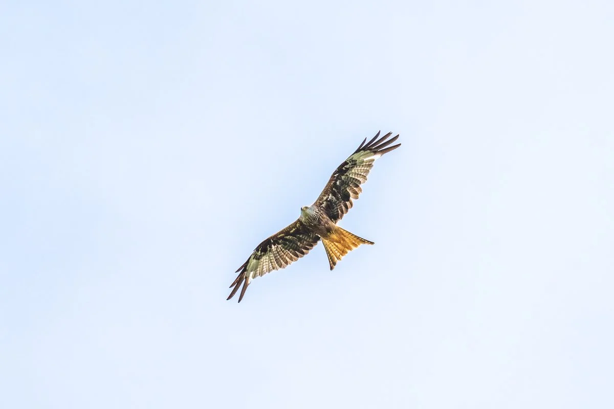 220711-lofftwen-079.jpg