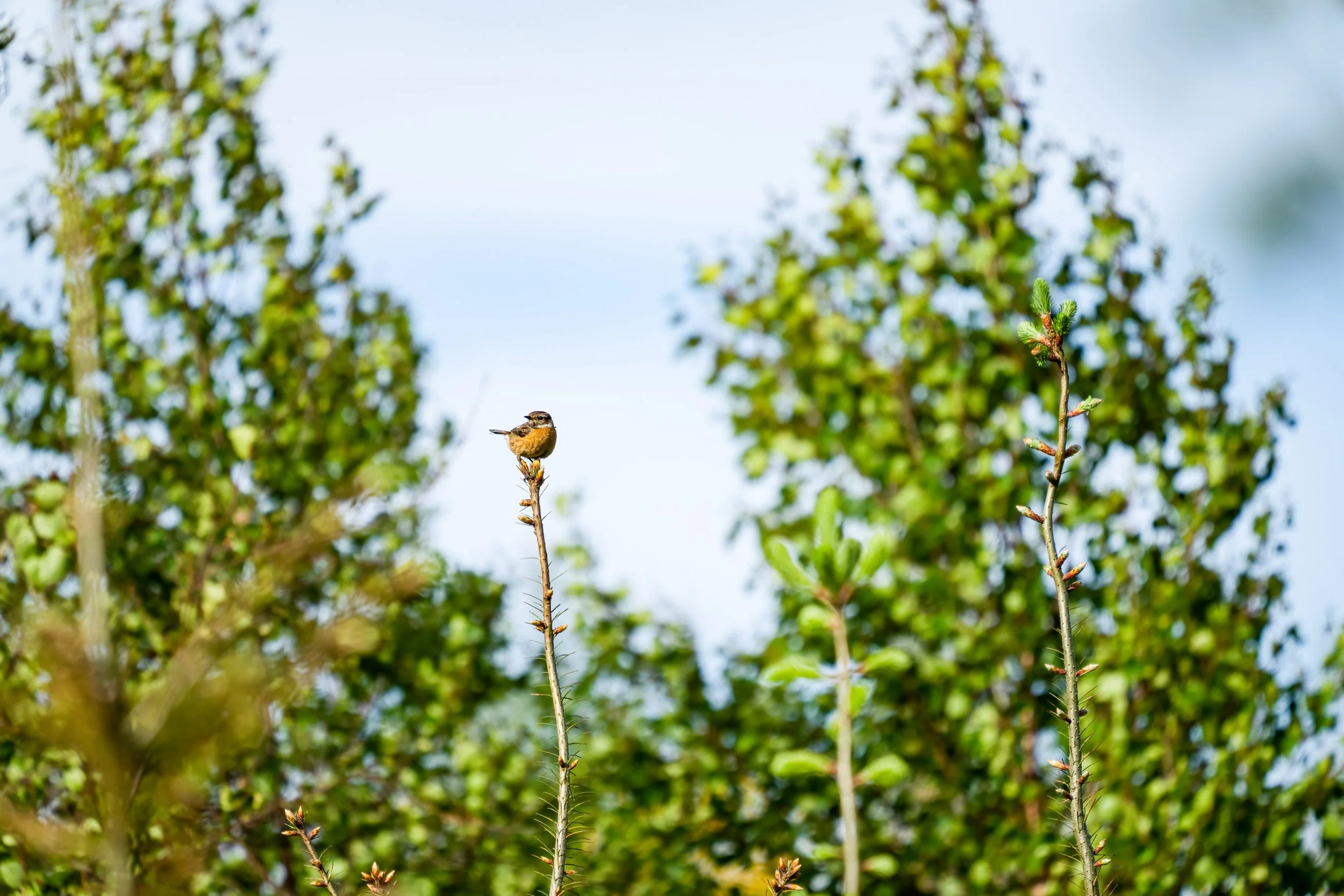220519-lofftwen-541-Edit.jpg