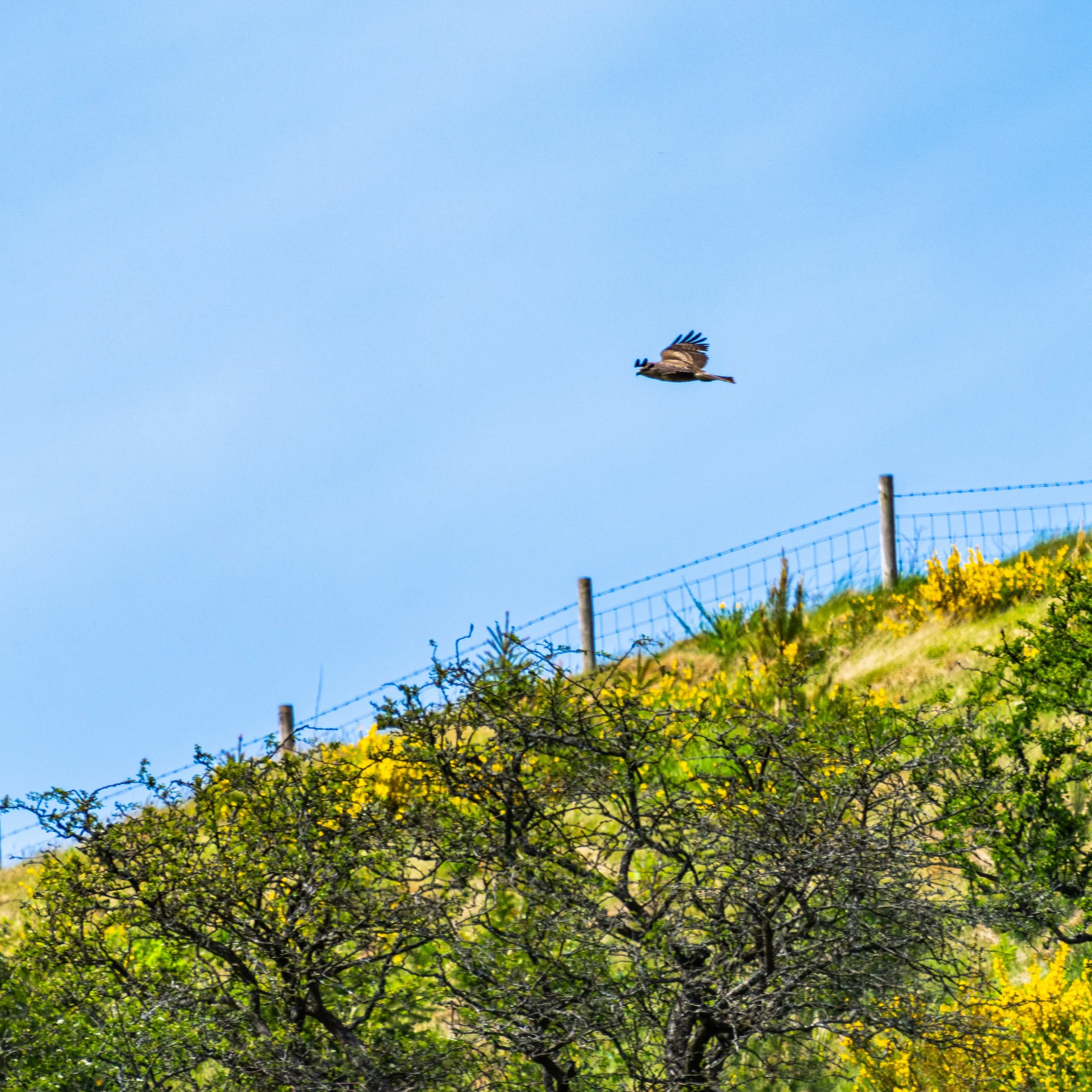 220519-lofftwen-277.jpg