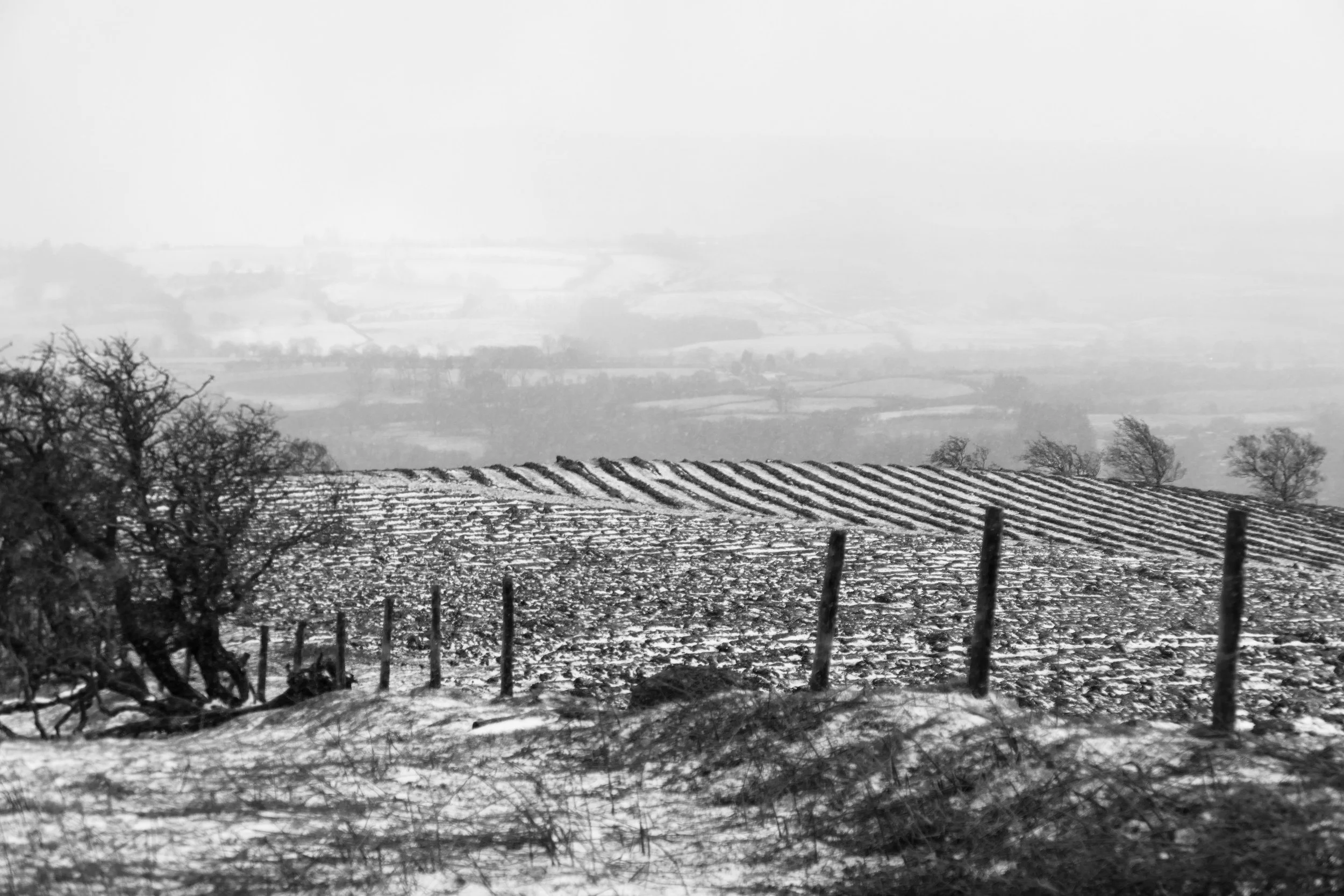 180211-Lofftwen-076.jpg