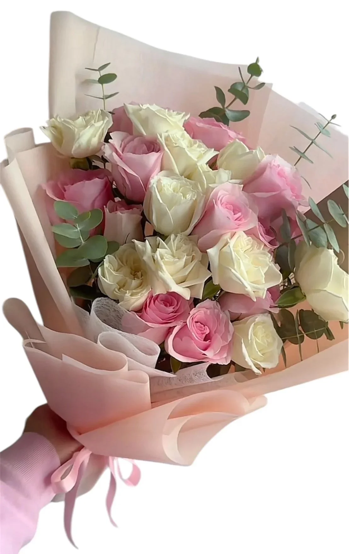 20 Two Coloured Rose