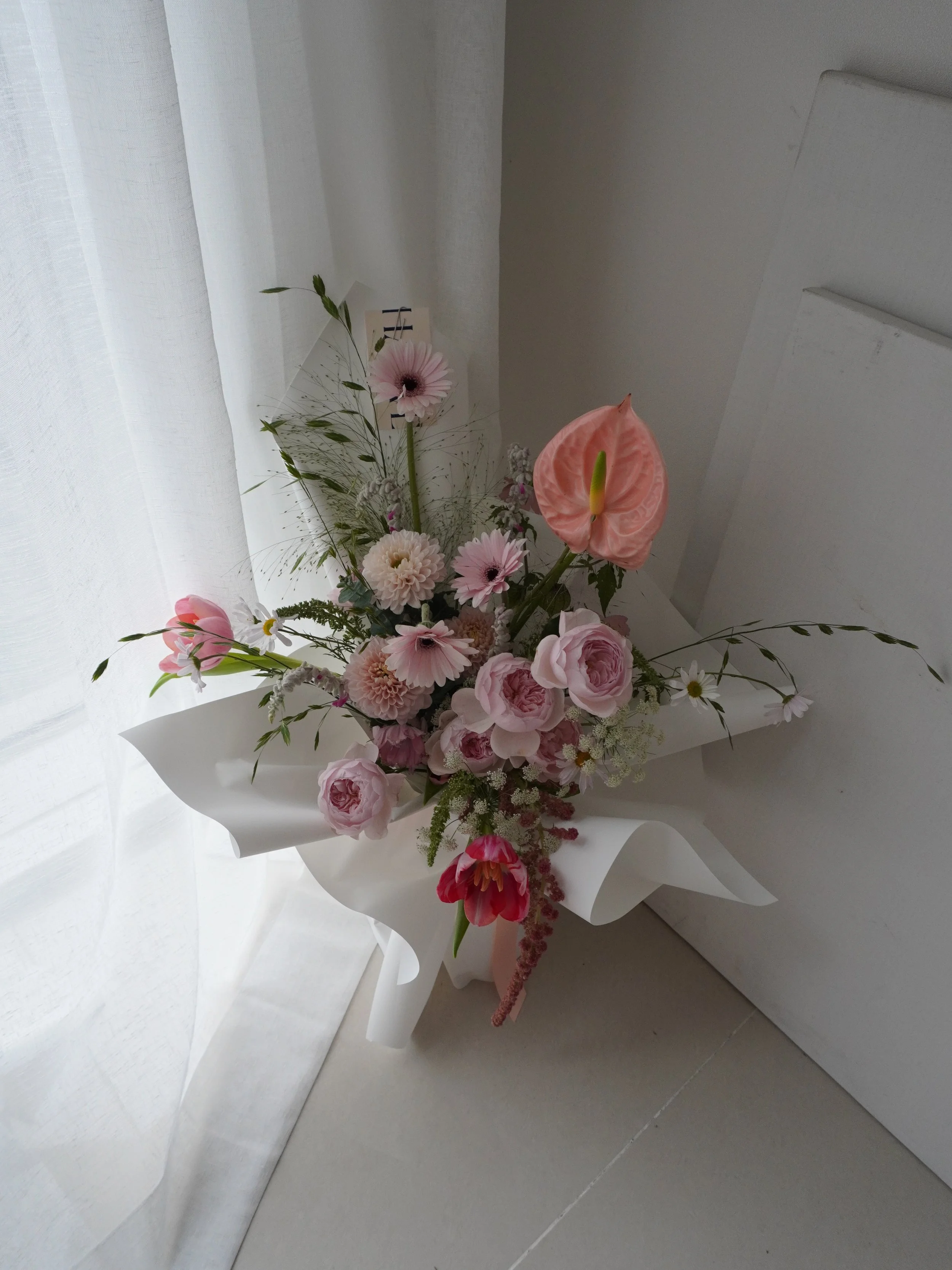DSC02147.JPG