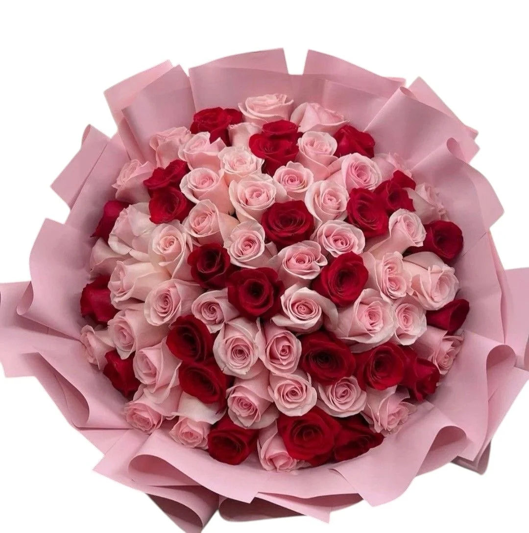 80 Mix Colour Rose