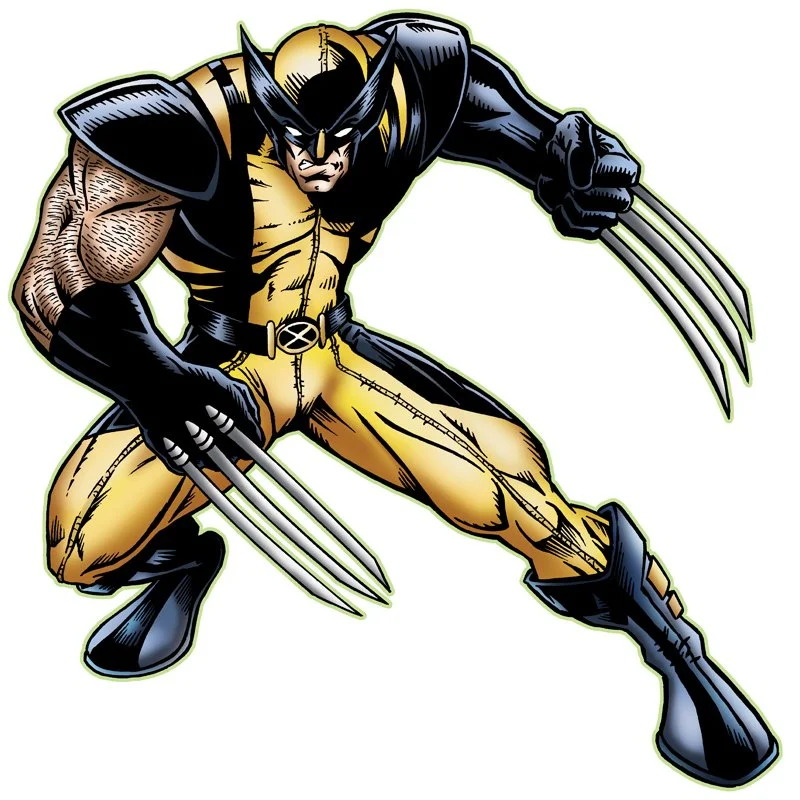 Wolverine fini (2).jpg