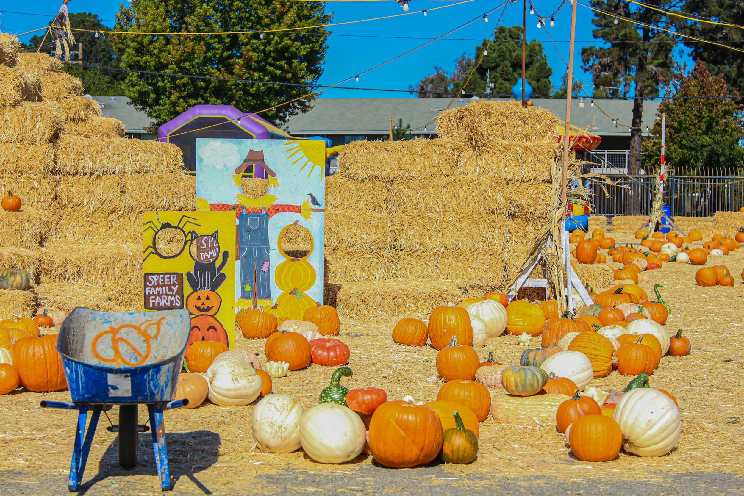 Unloading Pumpkins for A.F.I.R.E. of Pasco County