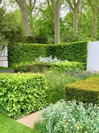 Hedge Maintaining