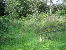 Land Clearing