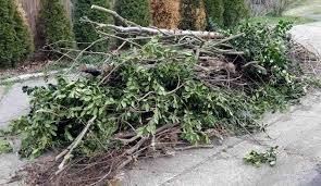 Debris Clean-up