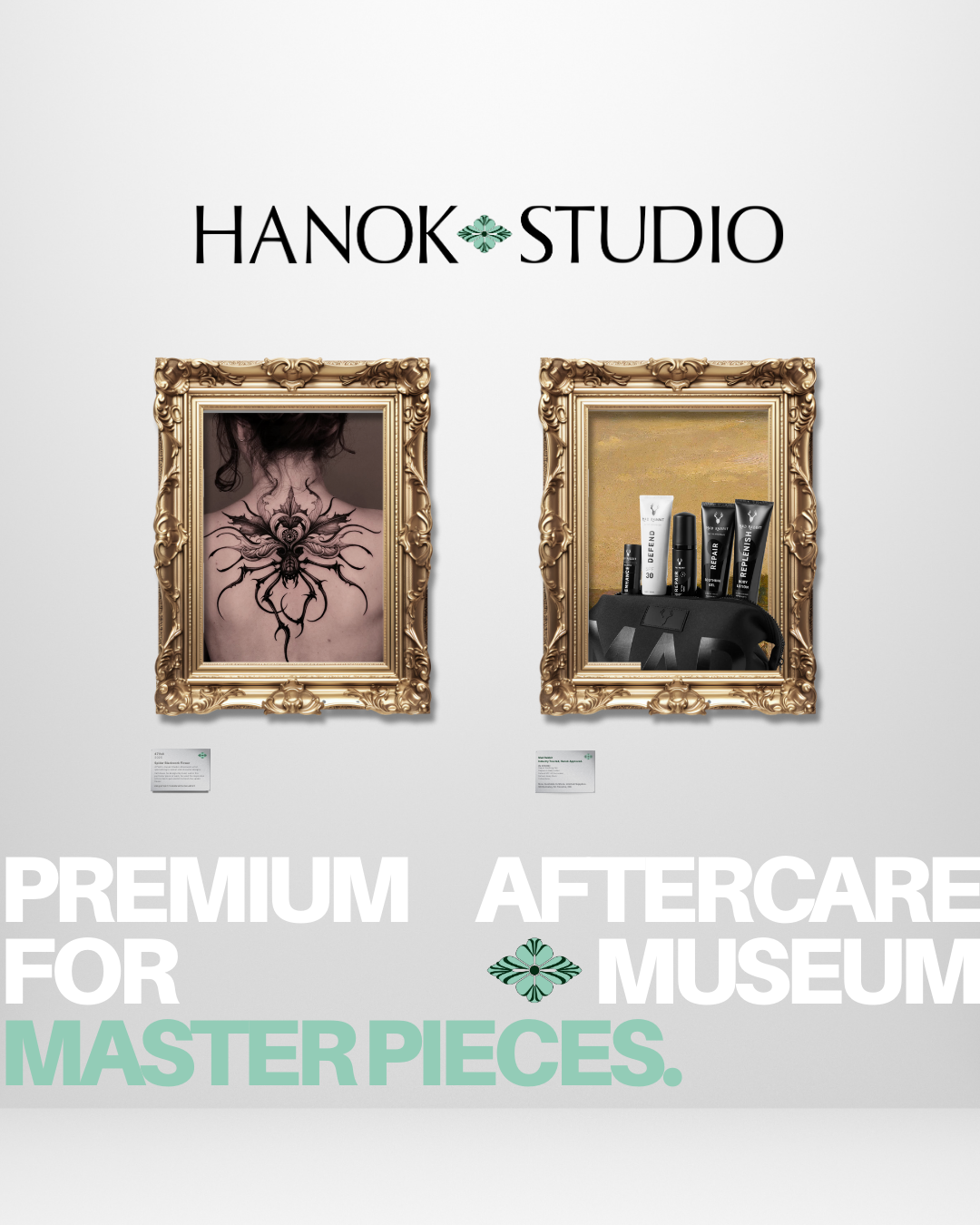 Museum After Care 1.png