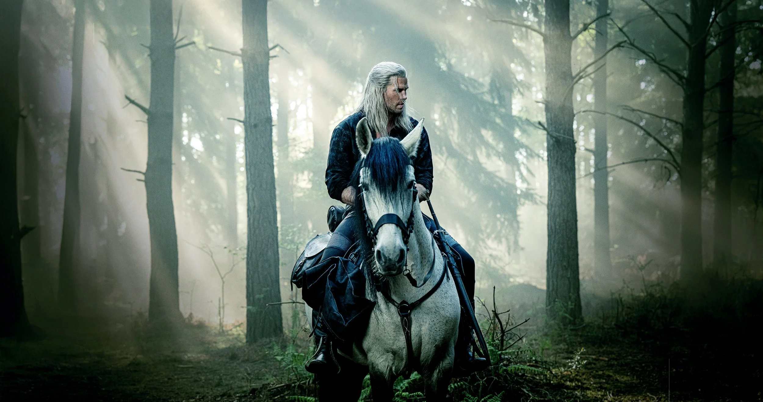 The Witcher
