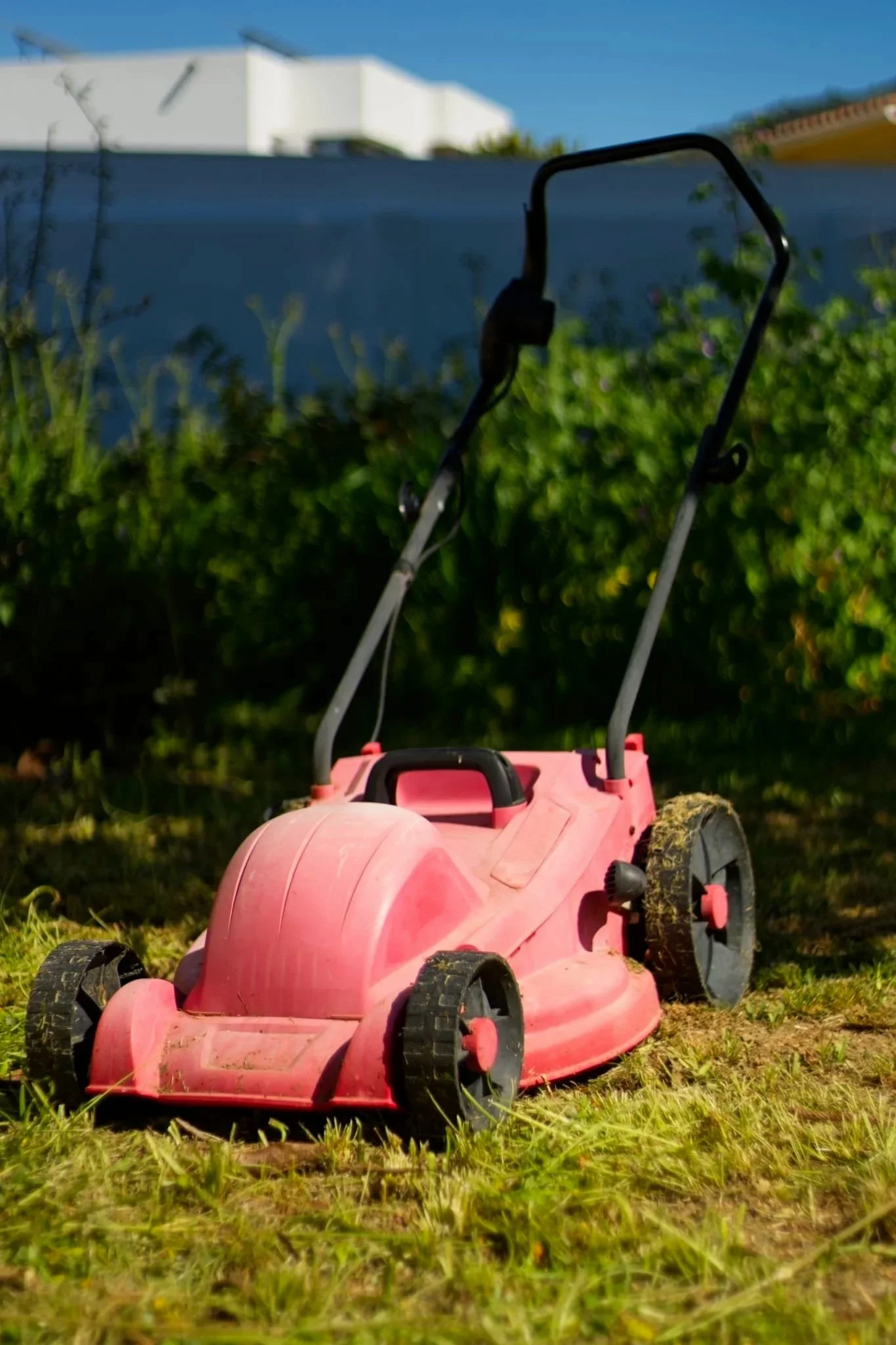Lawnmower.jpg